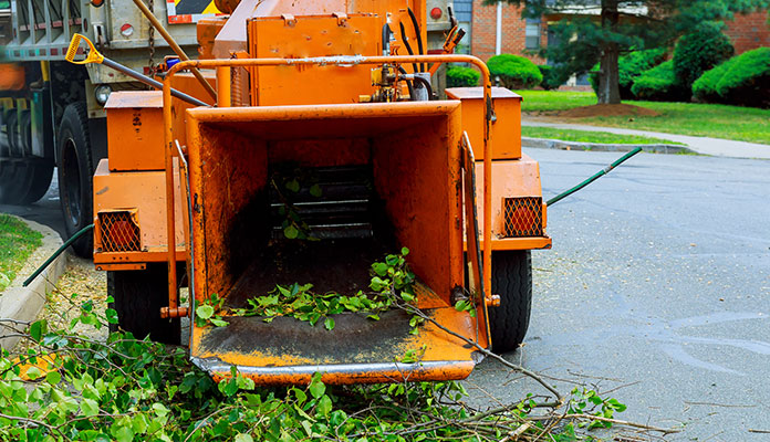 Tree Removal Woodinville