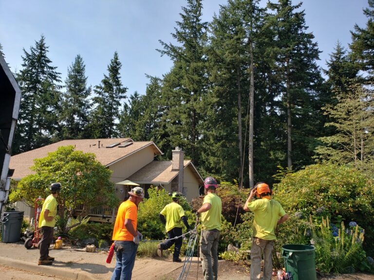 EcoTreeNW Arborists working