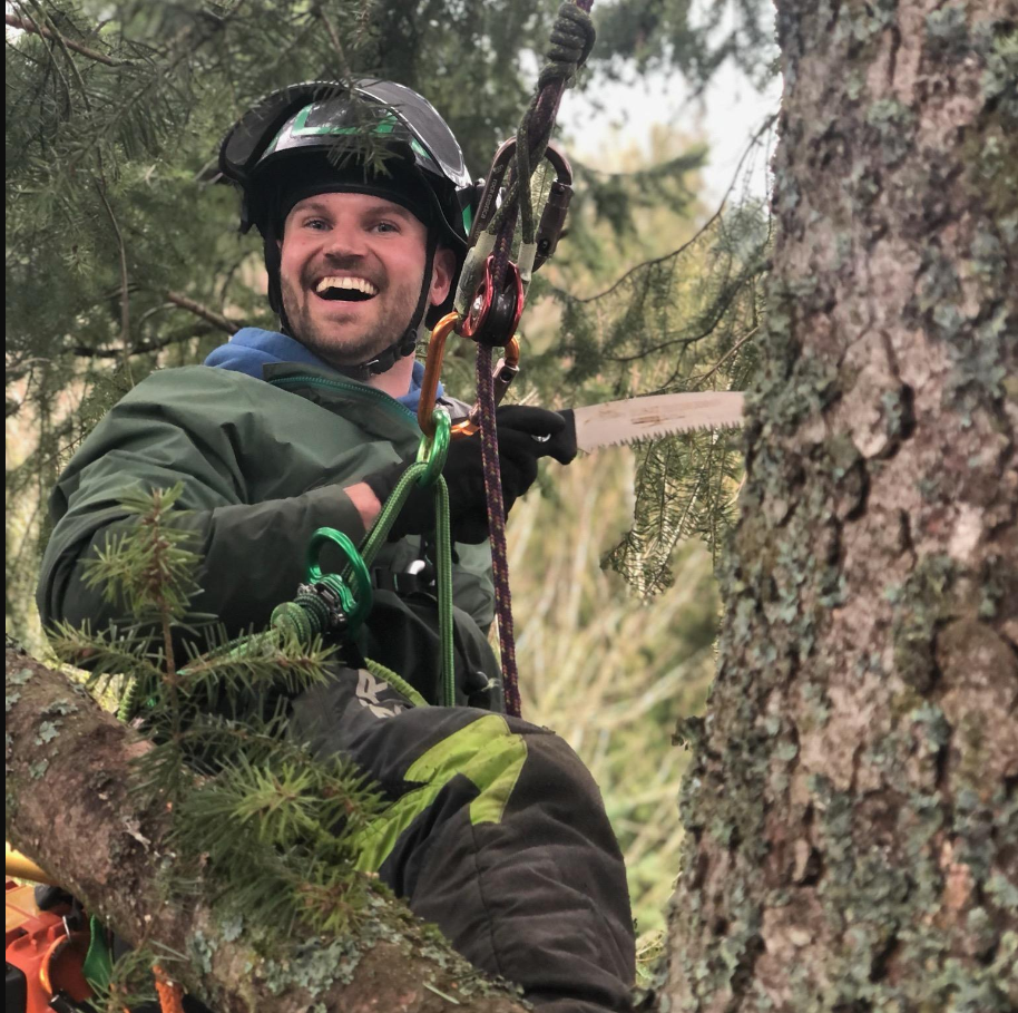 Pruning