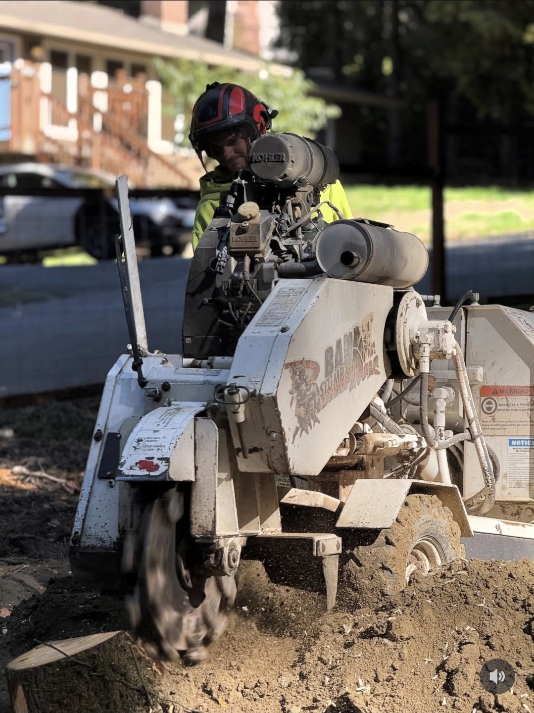 Stump grinding